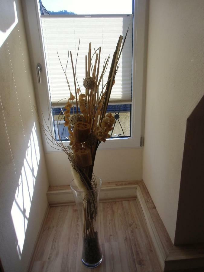 Mosel Ferienwohnung อือร์ซิก ภายนอก รูปภาพ